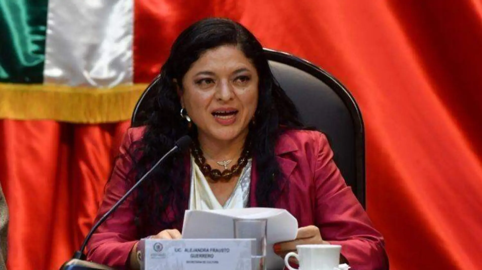 Secretaria de cultura defiende proyectos ante diputados